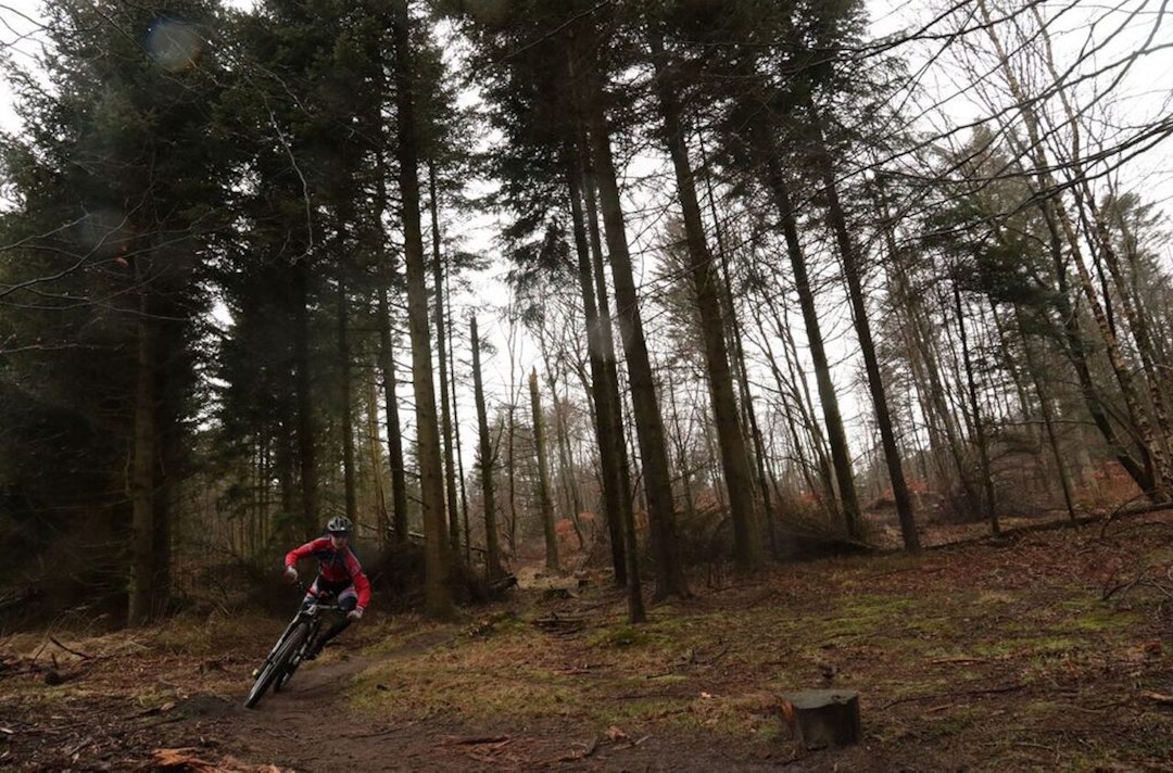 Slettestrand byr på både flyt og mer tekniske utfordringer, og i løpet av fire dager fikk SK Rye utrettet mye. Foto: SK Rye Slettestrand singletrack - SK Rye 1400x924