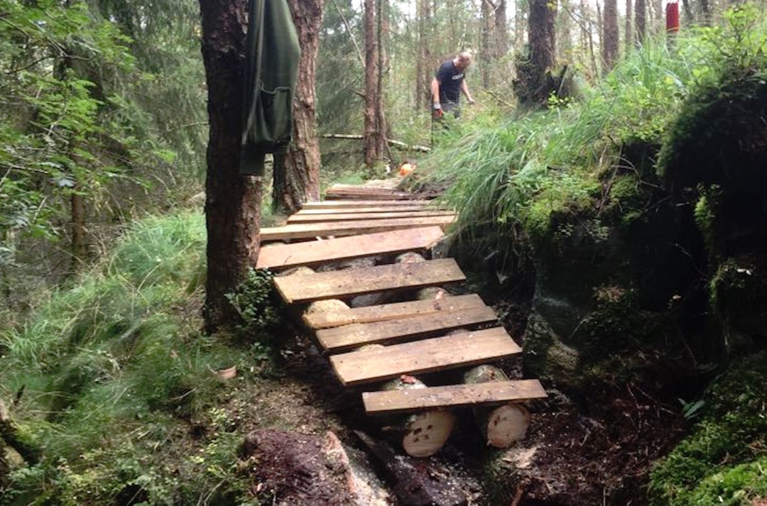 Klopping og vedlikehold av stier er terrengsyklistene på Jæren allerede godt i gang med. Foto: Lars Reiersen Kloppedugnad Neseskogen enduro - Foto Privat 1400x924