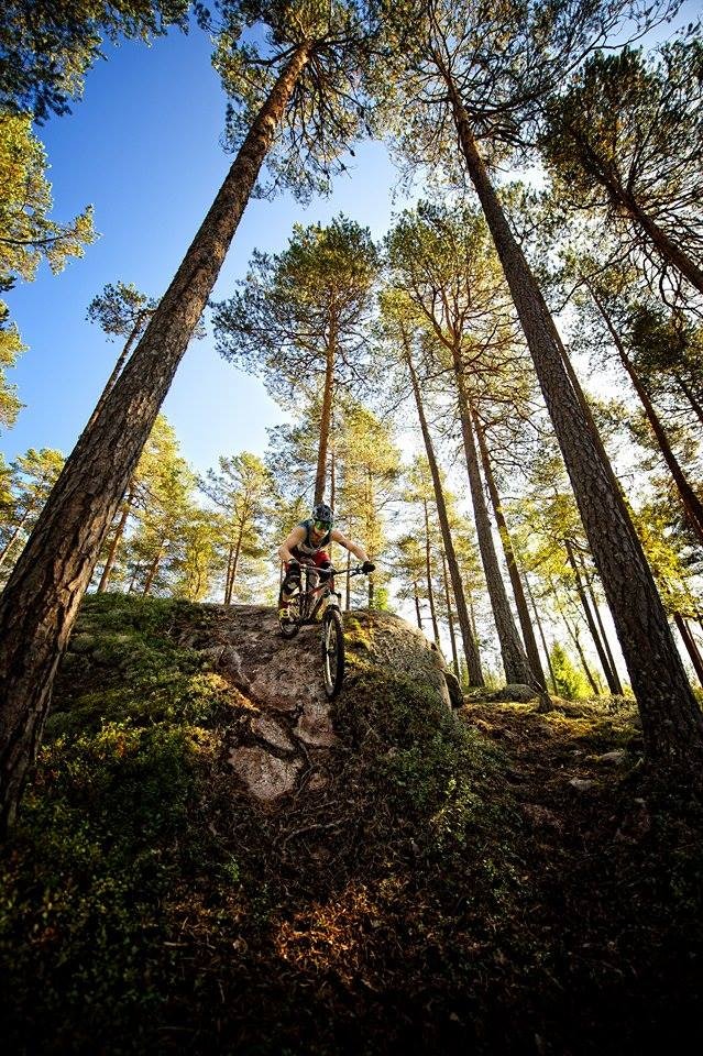 11348761_10153269281721068_906400797_n 11348761_10153269281721068_906400797_n