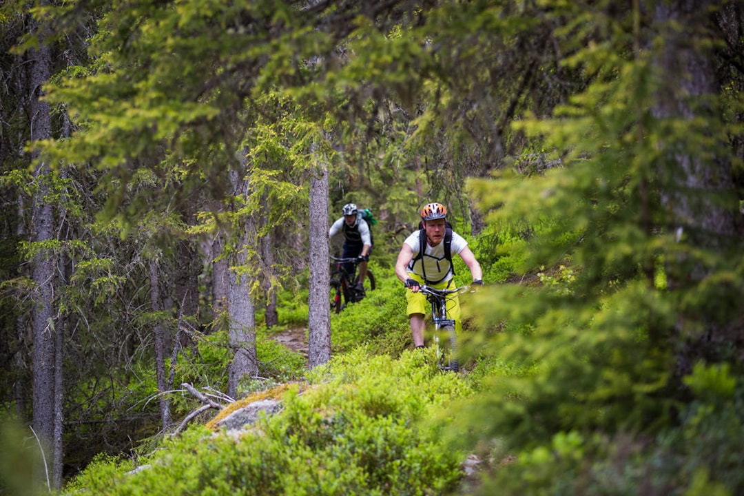 GUIDING: Godt utvalg i guidede turer er noe man kan forvente på Utflukt i 2016. Foto: Snorre Veggan 19-21-55_lightboxorg