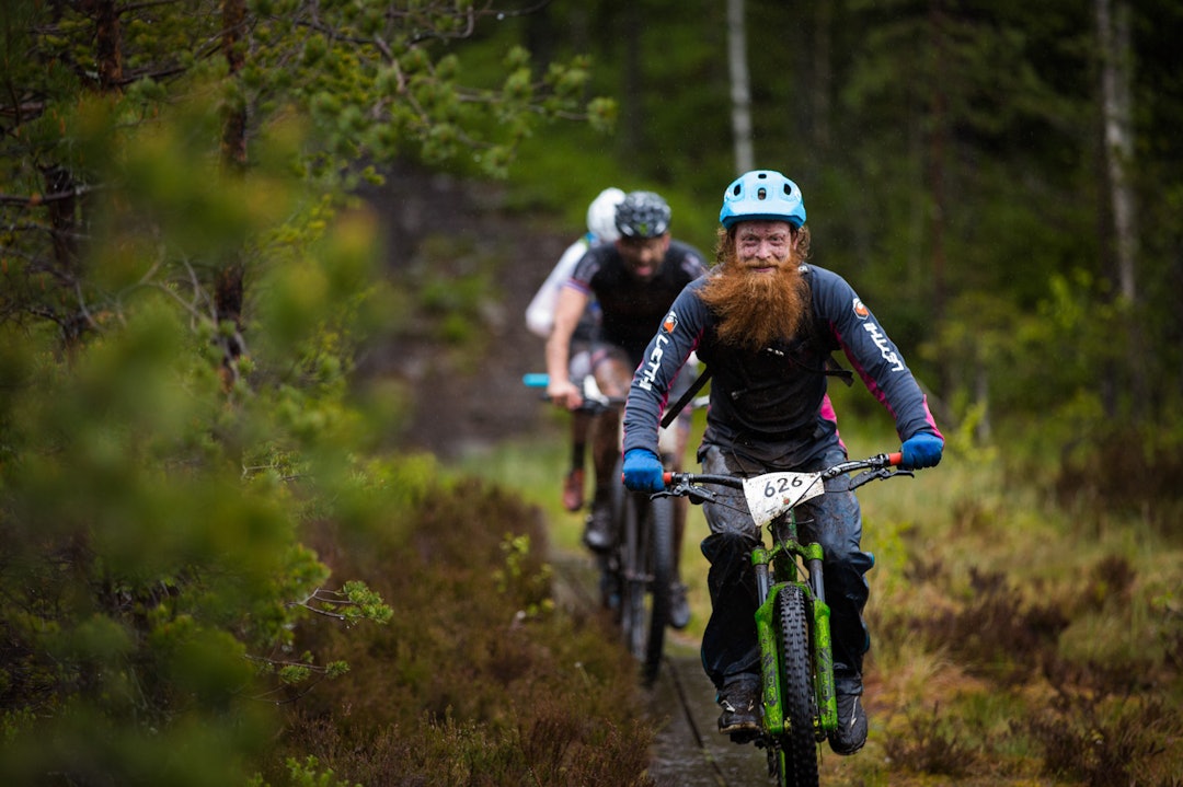 TSR2015-6654a TSR2015-6654a