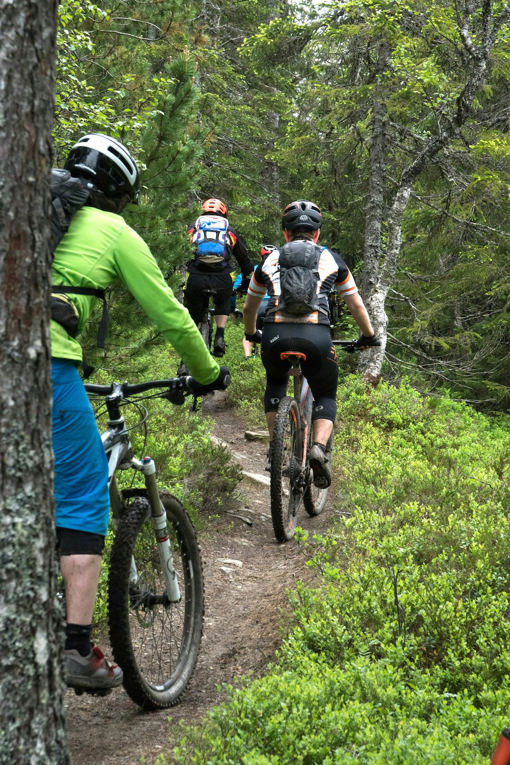 Gode guider er godt å ha. TRD Stisykkelfestival trails 1000x1500