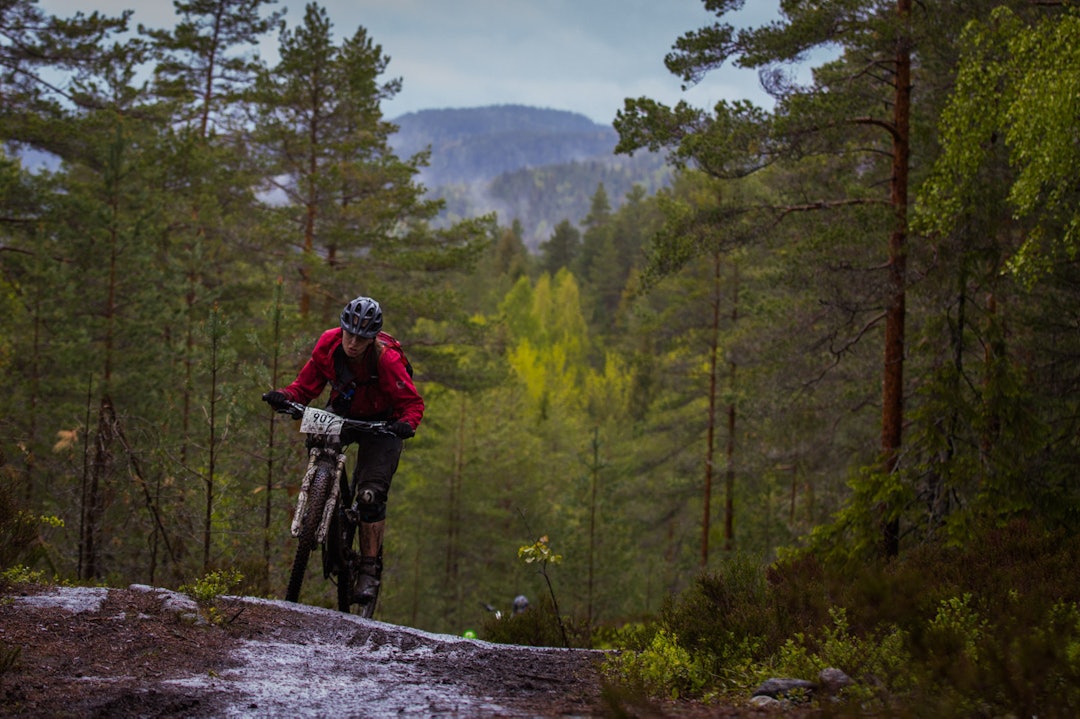 DYPE SKOGER: Over åsryggene i Østmarka skimter man skogen som strekker seg langt. TSR2015-6929a