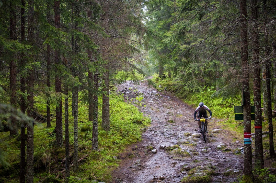 I BREDDEN: Rittet gikk på smale- og brede stier i Østmarka. TSR2015-6138a