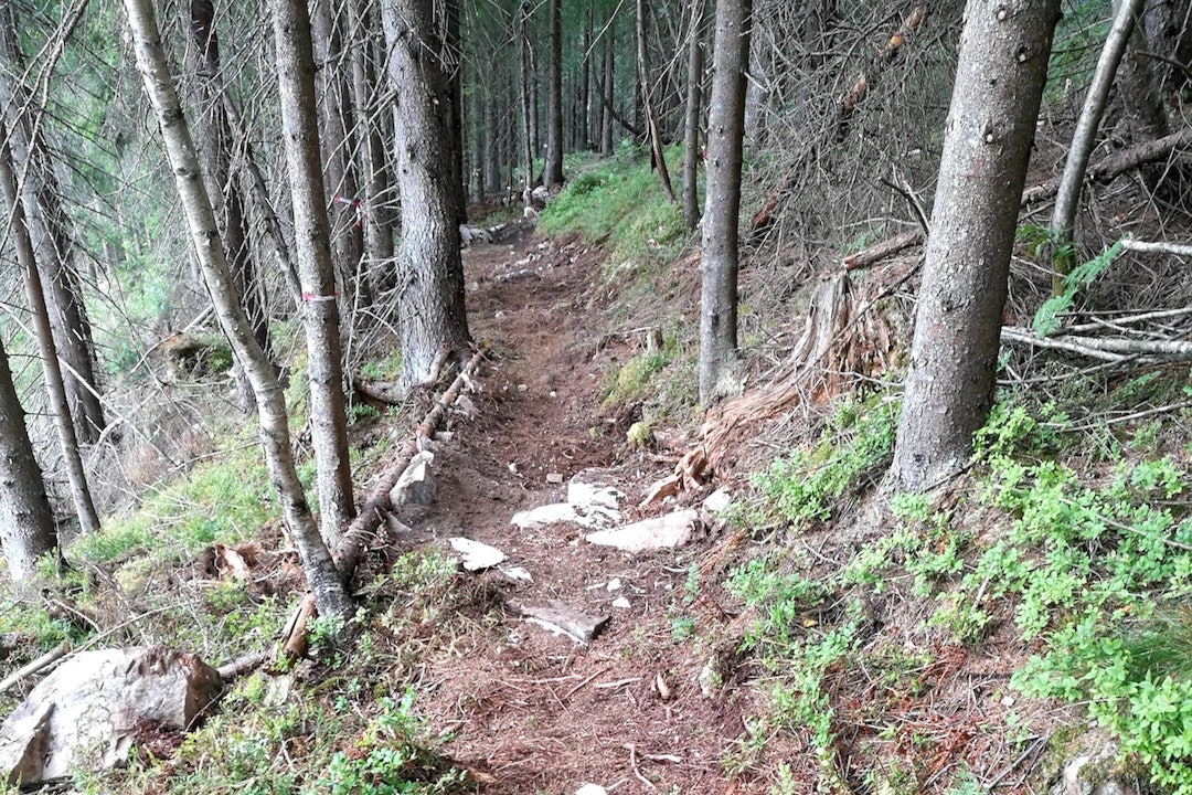 Oslo Enduro Trail 2- Roy Ripe 1200x800