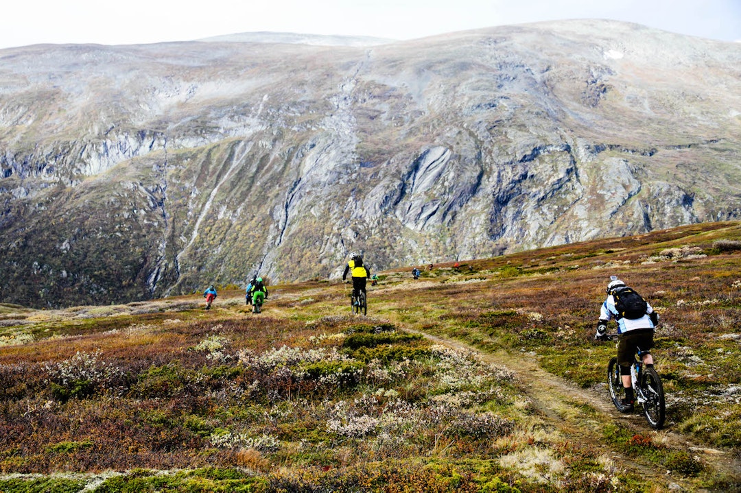 Fjell i all sin prakt står alltid på programmet under Oppdal stisykkelcamp. Foto: Bjarne Grøseth MT - Oppdal stisykkelcamp 2016 - Bjarne Grøseth 1400x933