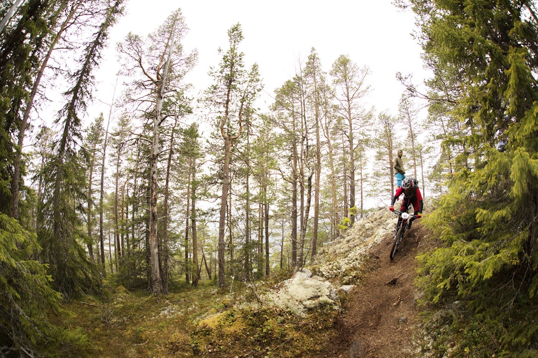 ÅPENT: På toppen av FE1 var det lengre mellom trærne enn vanlig i Nesbyen. Eirik Lind Hånes gir gass. _IPP7323