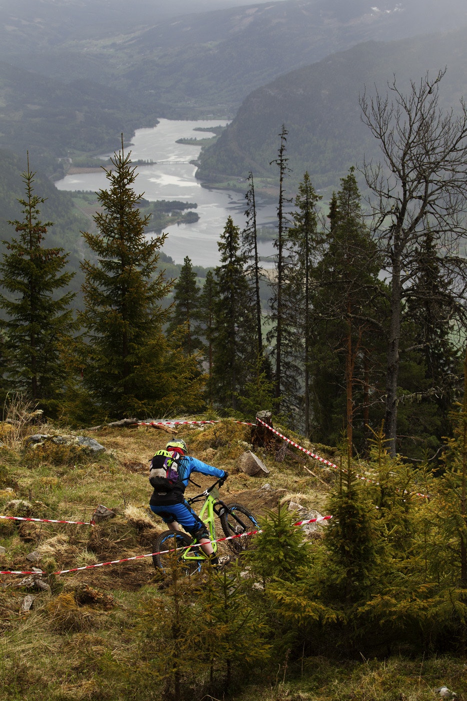 UTSIKT: En sjelden gang var det utsikt ned til dalen mellom trærne. Alice Grindheim gir på gjennom doseringen ved "tomta". _KHK3403