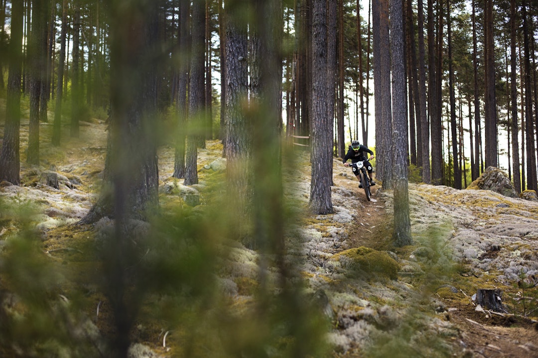 PANG! Og så var vi i gang. Nesbyen vartet opp med tørre og flotte stier. _IPP6539