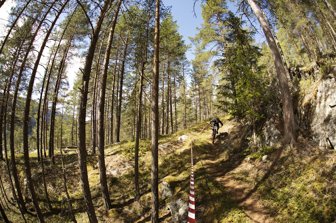 SUPERFLYT: Åpne og tette skoger med superraskt underlag i Nesbyen. _IPP6688