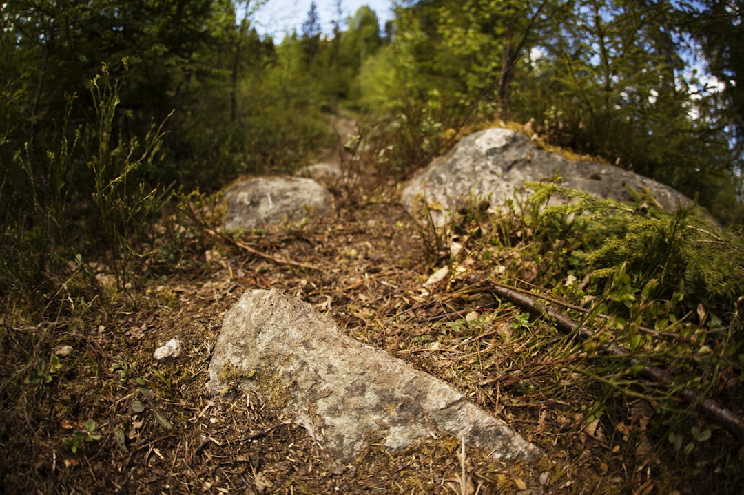 FELLER: Innimellom alle flytstiene lå det en og annen forrrædersk stein, klar for å knerte en slange. _IPP6715