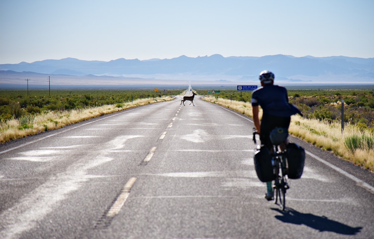 OPPLEVELSER: Øystein og Kristoffer har fått oppleve et utrolig dyreliv så langt på turen. Foto: Kristoffer Vittersø OPPLEVELSER: Øystein og Kristoffer har fått oppleve et utrolig dyreliv så langt på turen. Foto: Kristoffer Vittersø