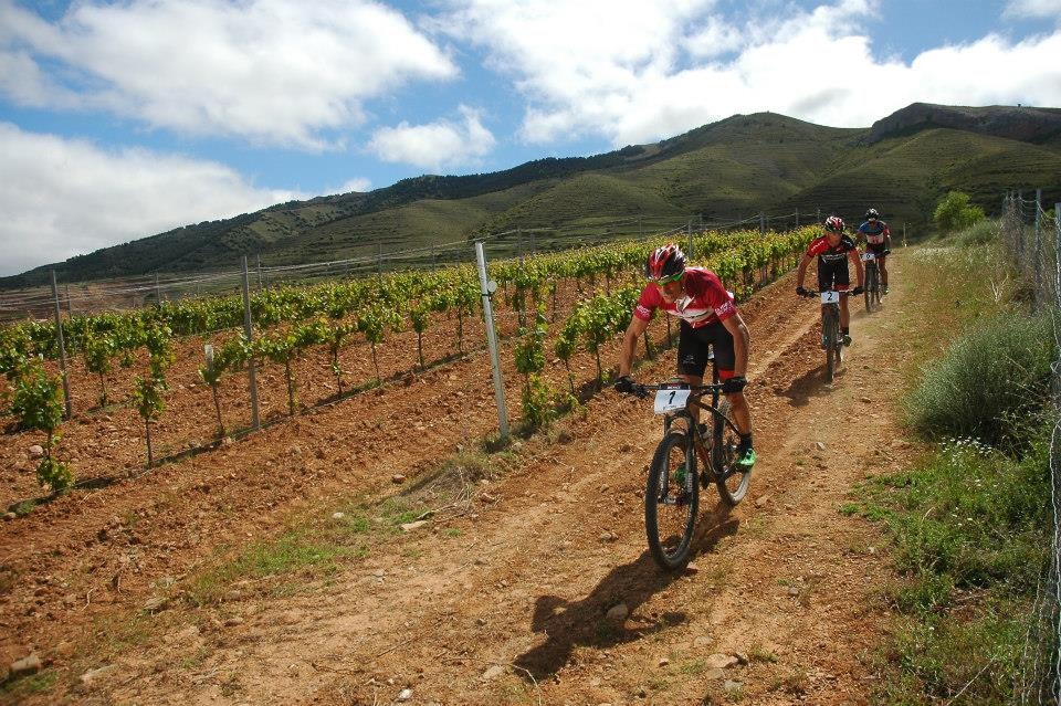 PÅ DRUEN: Du kommer tett på vinrankene i løpet av rittet. Ofte helt inne på åkerne og mellom drueplantene. PÅ DRUEN: Du kommer tett på vinrankene i løpet av rittet. Ofte helt inne på åkerne og mellom drueplantene.