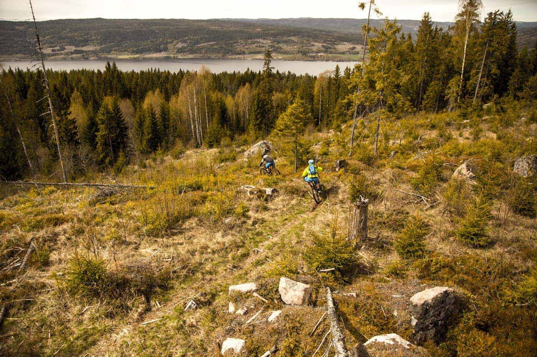 De fleste løypene går nede i skogen, men det er også muligheter for utsikt. IMG_5602