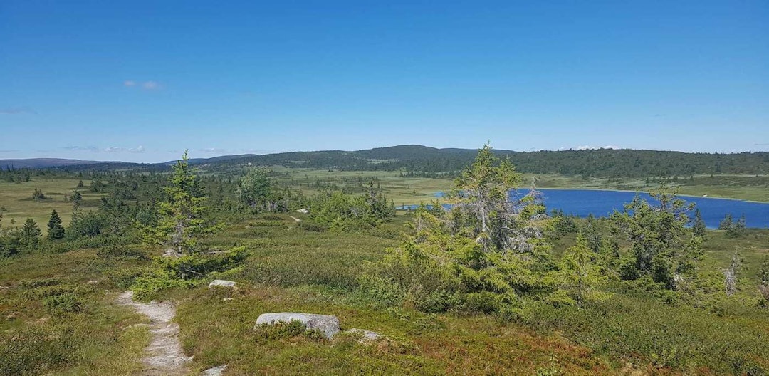 Fra UltraBirken-løypa 2018. Foto: Bjørn Ballangrud Fjellet UB 2018 - Bjørn Ballangrud 1400x688