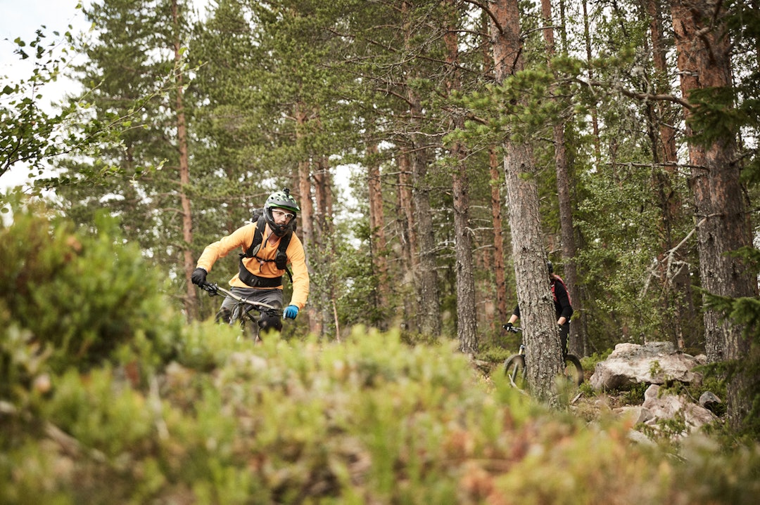 Skog Torgeir Sorflor Moen