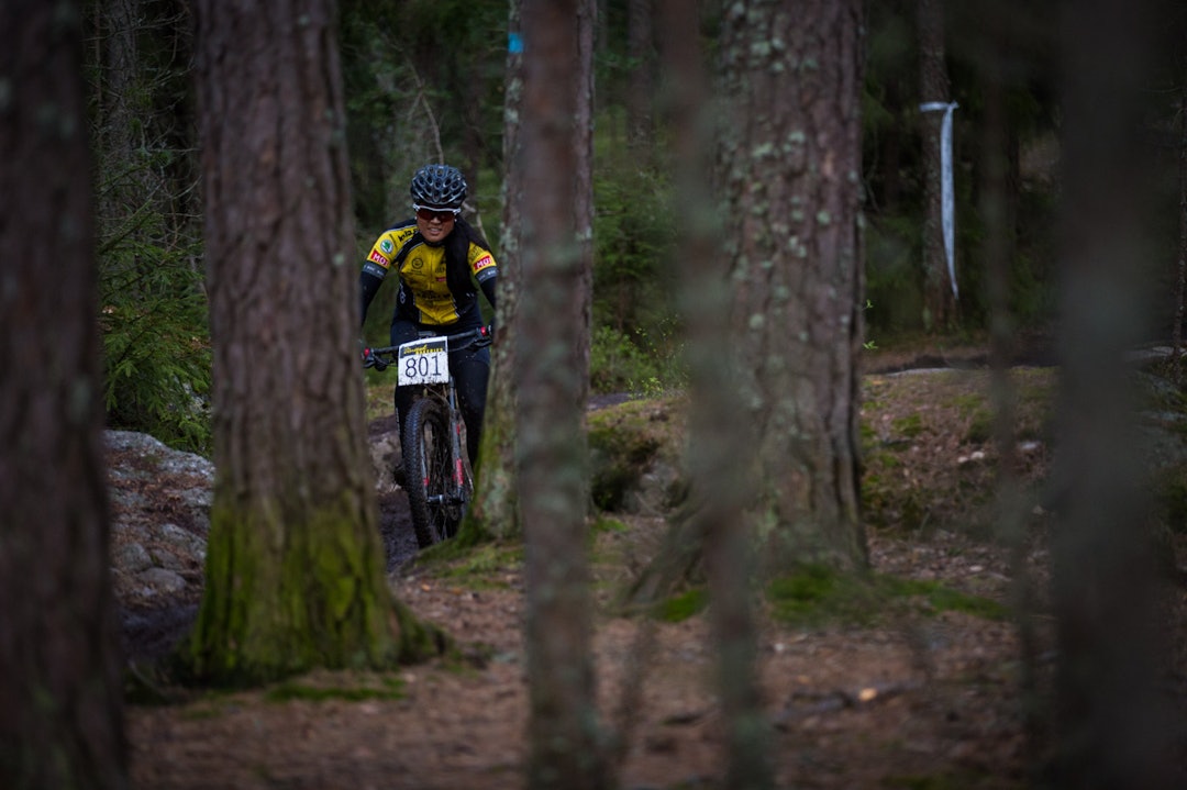 TRÆR: Ingen tvil om hva det er nok av i Østmarka. (foto: Snorre Veggan) ubcup-4176a