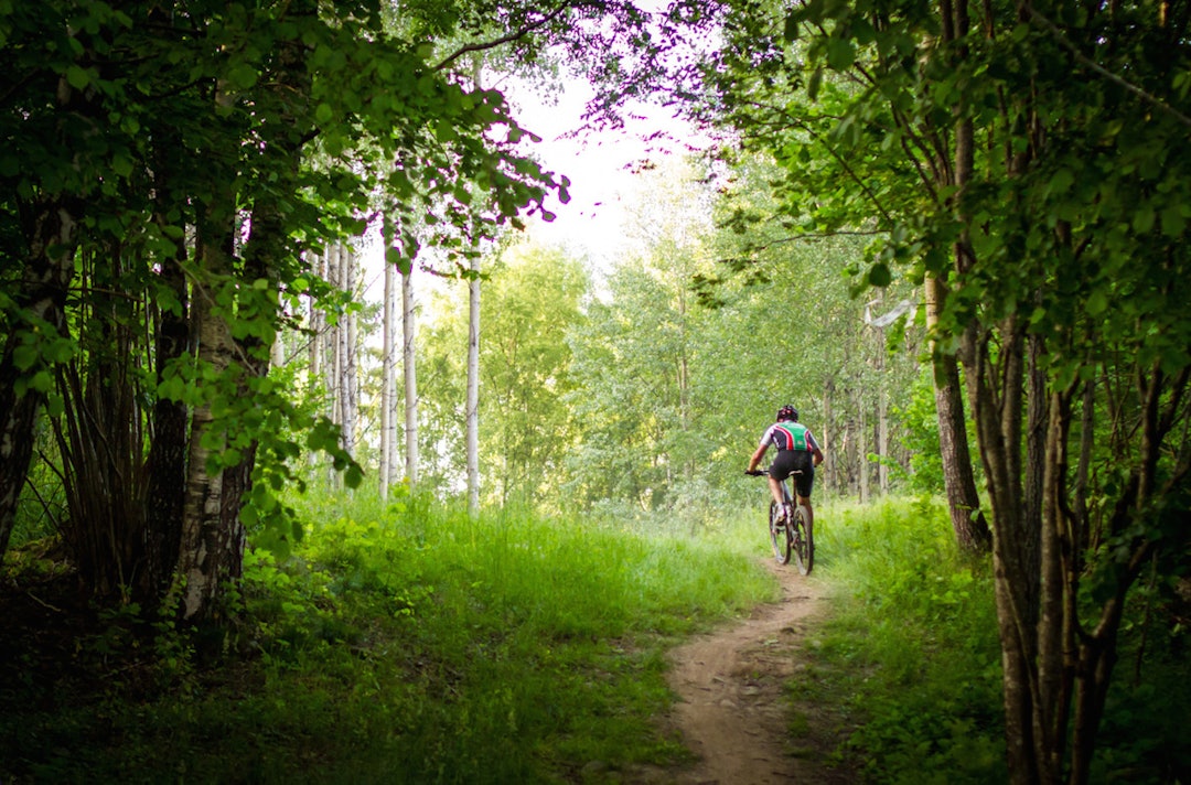 FLYTSTIER er ett av varemerkene til UB-Cupen, og årets ritt har massevis av det. Foto: Snorre Veggan UB Cup Skullerud 2014 - Foto Snorre veggan 1400x924