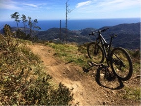 Uten navn5 Uten navn5