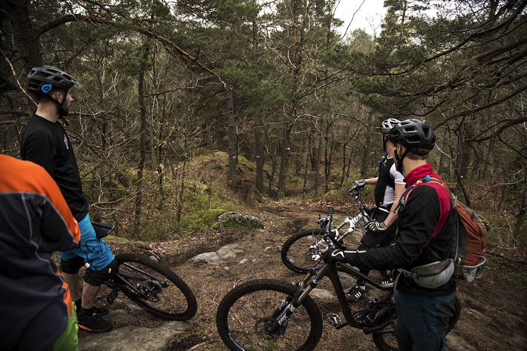 MERKET: Stirunden Tungvekteren i Arendal snor seg rundt i landskapet, og er merket for de som ikke skulle være kjent. IMG_4326