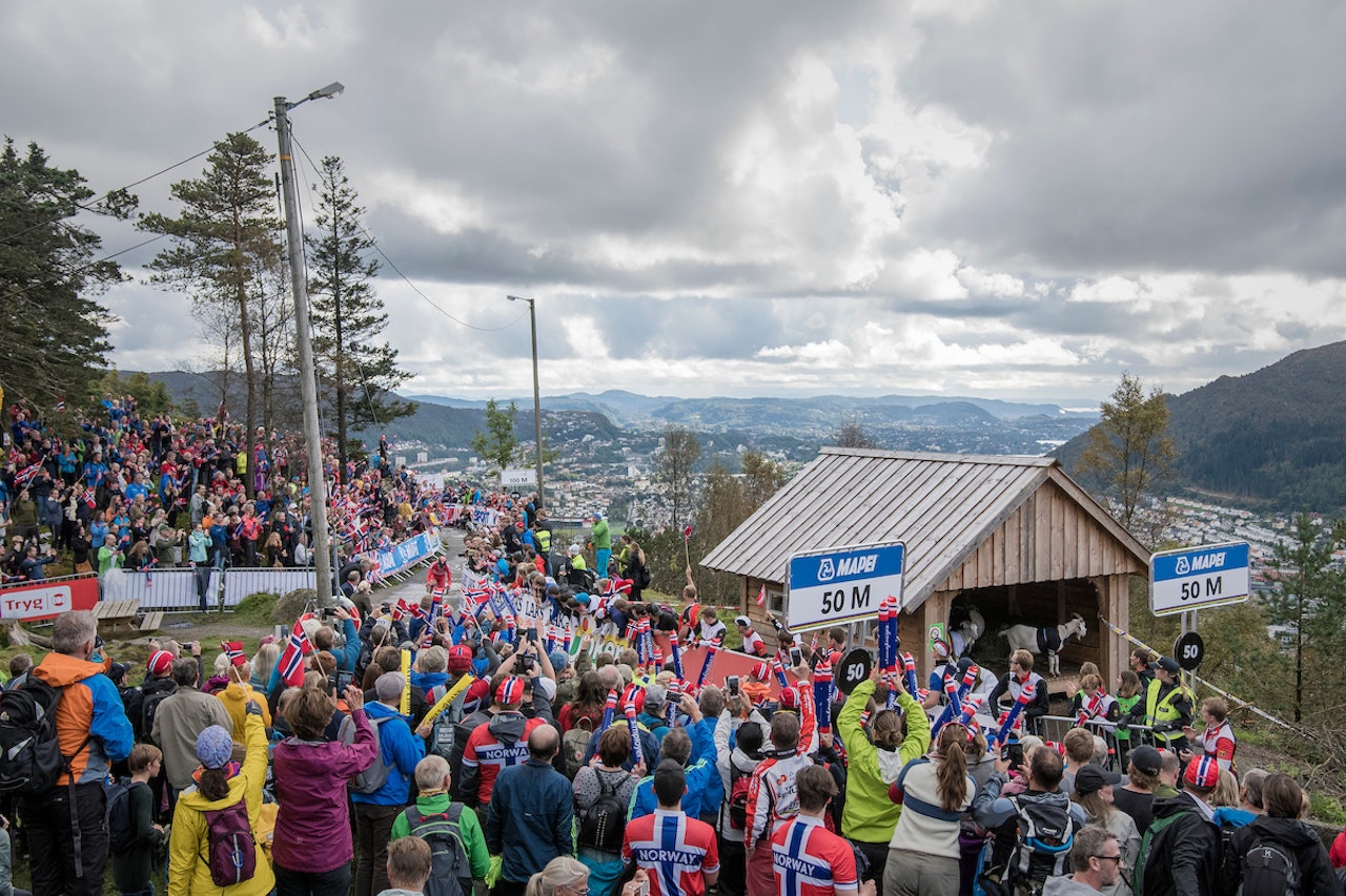 TOPPERS! Andreas Vangstad når geitehøyde ved Fløien Folkerestaurant. Foto: Kristof Ramon TOPPERS! Andreas Vangstad når geitehøyde ved Fløien Folkerestaurant. Foto: Kristof Ramon