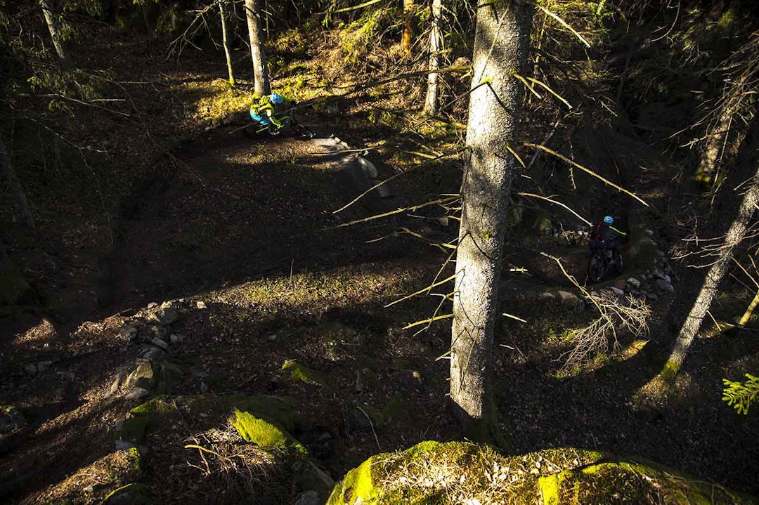 SVISJ: Mer doseringsmoro. IMG_4510 copy