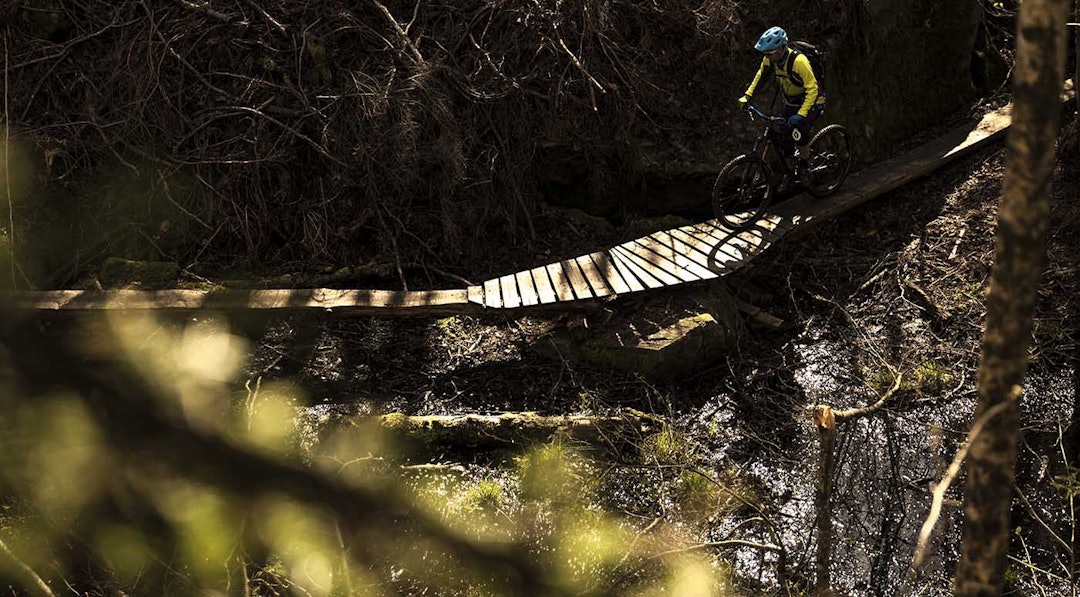 SISTE SOL: Festivalsyklist i solnedgang. IMG_4573 copy