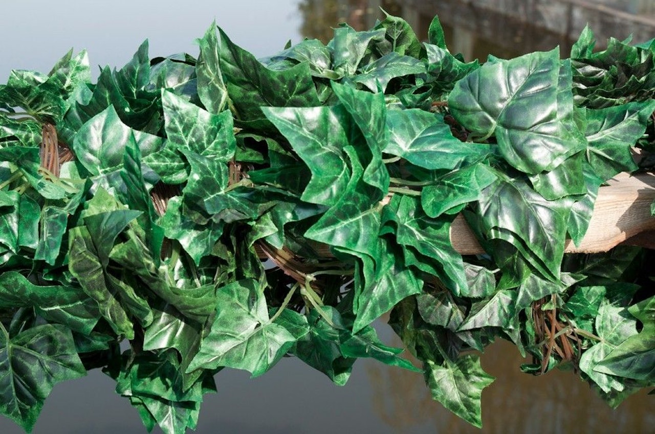 VAKKERT: Ikke noe er som slike vekster i hagen! Foto: Christian Nerdrum.  VAKKERT: Ikke noe er som slike vekster i hagen! Foto: Christian Nerdrum.