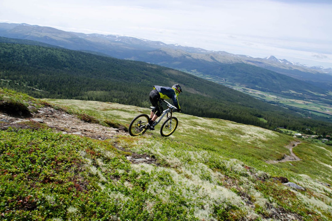 Stiene på Tronfjell i Alvdal er et eldorado for stisyklister, og i år blir det enda flere guidede turer på Livestockfestivalen i juli. Foto: Audun Lutnæs Guidet stisykling på Tronfjell i Alvdal Foto Audun Lutnæs 1400x933