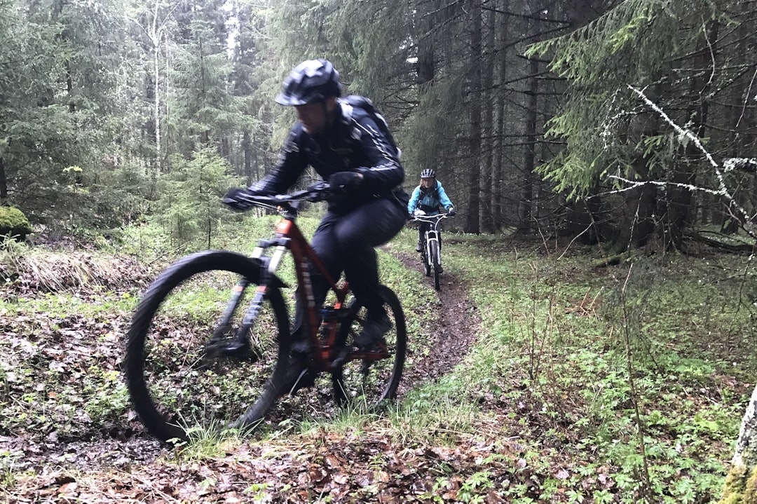 Søre Ål marka er ett av områdene som skal prioriteres med midlene fra Sparebankstiftelsen DNB. Foto: Asgeir Linberg May 22-17 NOTS Lillehammer 2- Asgeir Linberg 1400x933