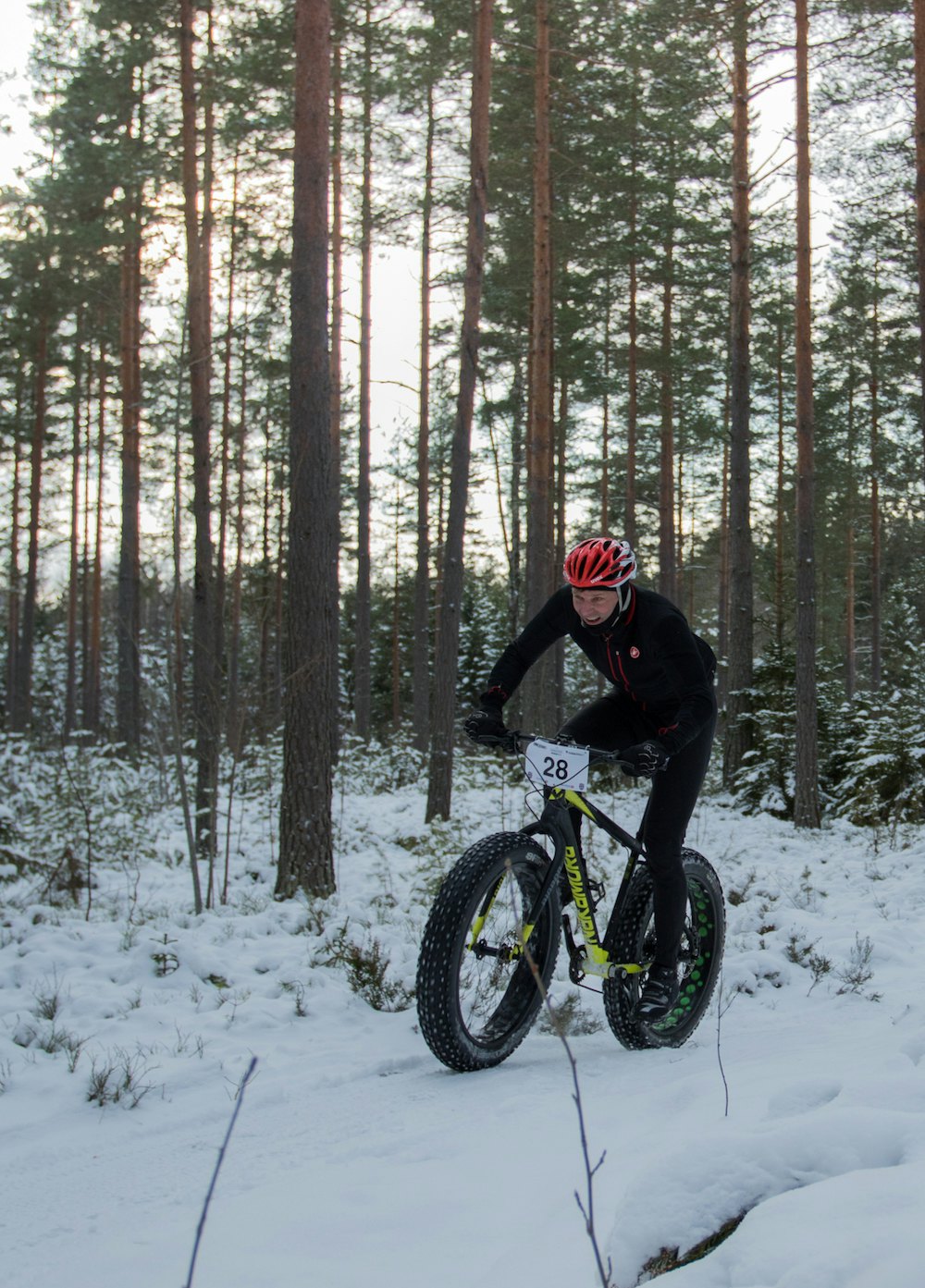 Kurt Vågenes No 28 Kurt Vågenes 1000x1339