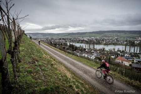 ELVELANGS: Siste-etappen gikk stort sett langs Rhinen, med stadige vendinger opp i høyden. 
