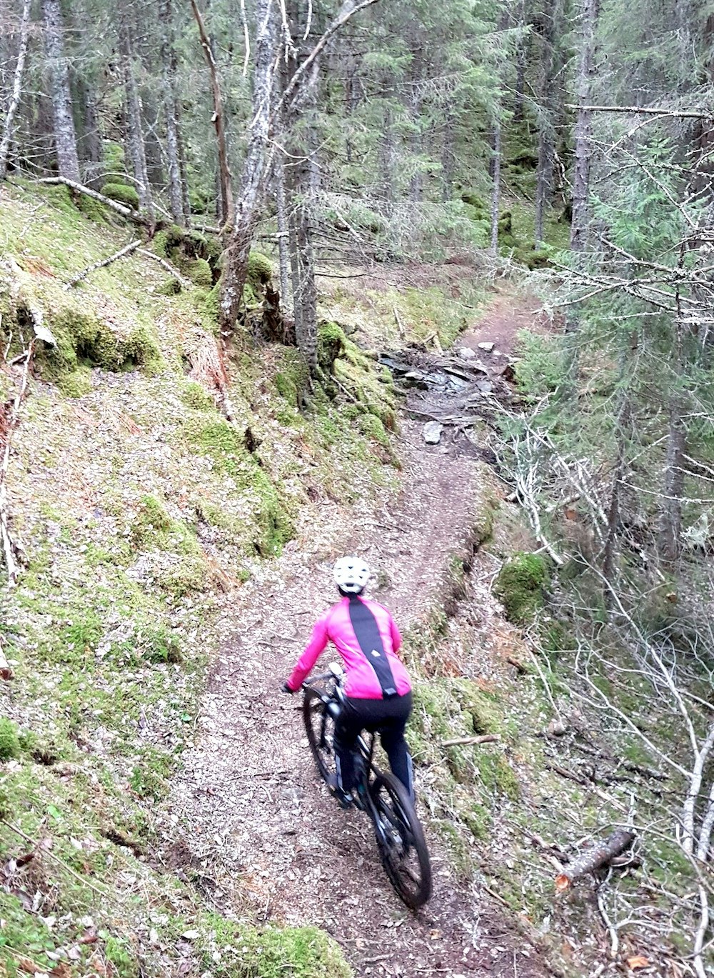 Ikke mye som minner om vinter bak Geitfjellet i Bymarka. Foto: Bjørn Vindvik Trondheimsvinter 1 - Bjørn Vindvik 1000x
