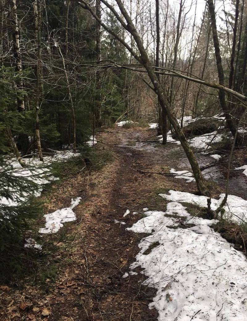 På østsida gjenstår det litt før stiene er støvtørre, men etter atskillige dugnadstimer er stiene snøfrie til rittet. Foto: Telemark Enduro Trails wet telemark enduro 800x