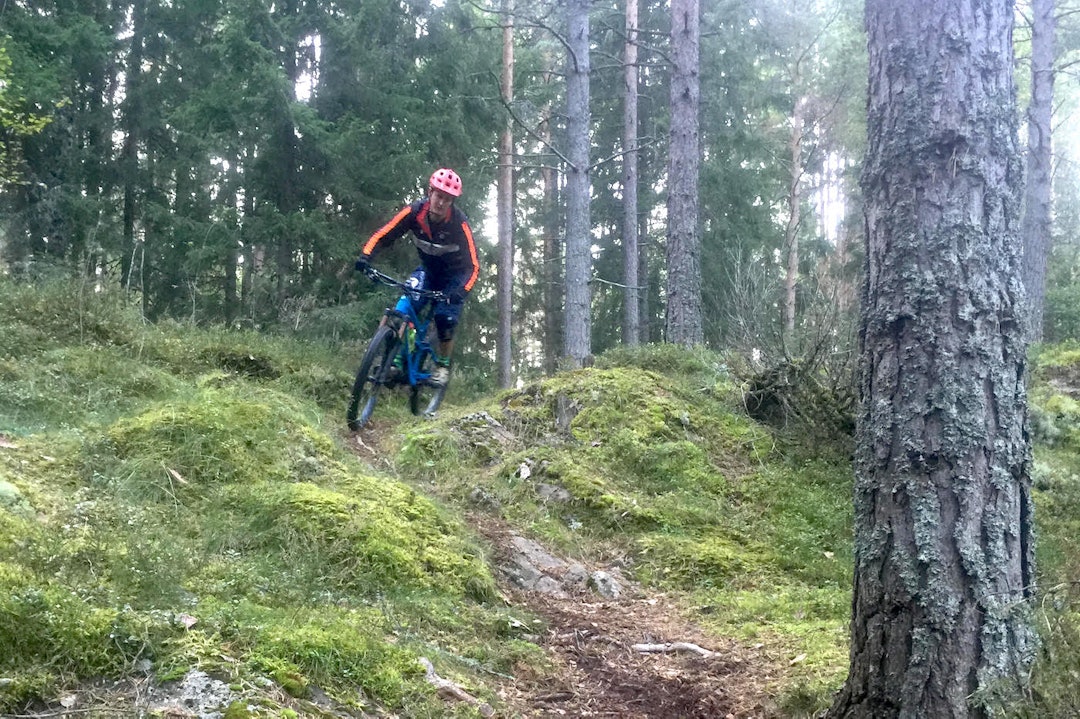 Løypene i Ringerike Enduro vil egne seg både for rittfulldemper og full on endurosykler Foto: Aslak Mørstad Ringerike Enduro - Aslak Mørstad 1400x933