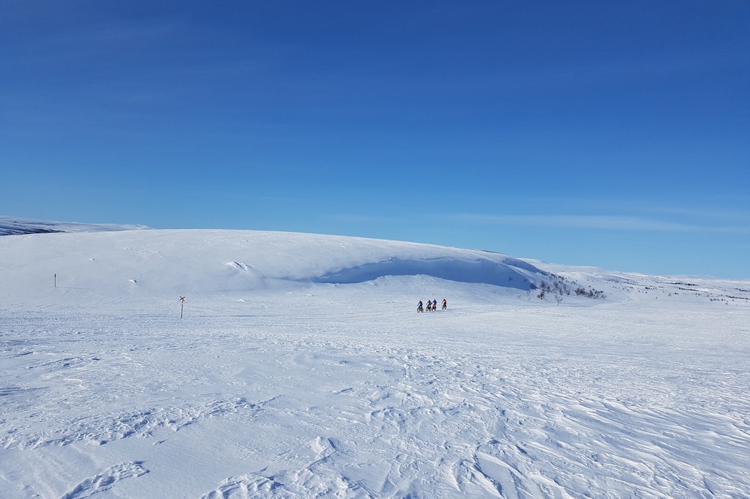 Store vidder - på Beskades fjellparti mellom Gargia og Suolovuopmi Foto Ulf Helge Johansen 1400x933