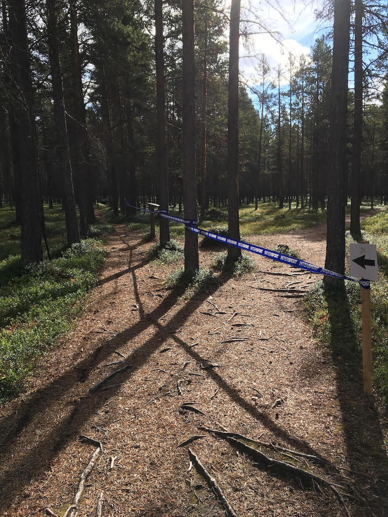 Mølmannsdalen er en del av An-Magrittet. Foto: Håkon Funderud Lundkvist Mølmannsdalen - Håkon Funderud Lundkvist 800x