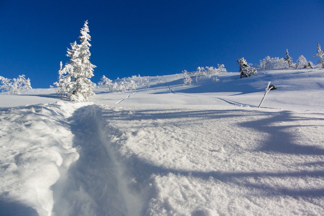 Vinterskrud i Trysil. Foto: Erik Olsson Trysil Jan 30 - Erik Olsson 1400x933