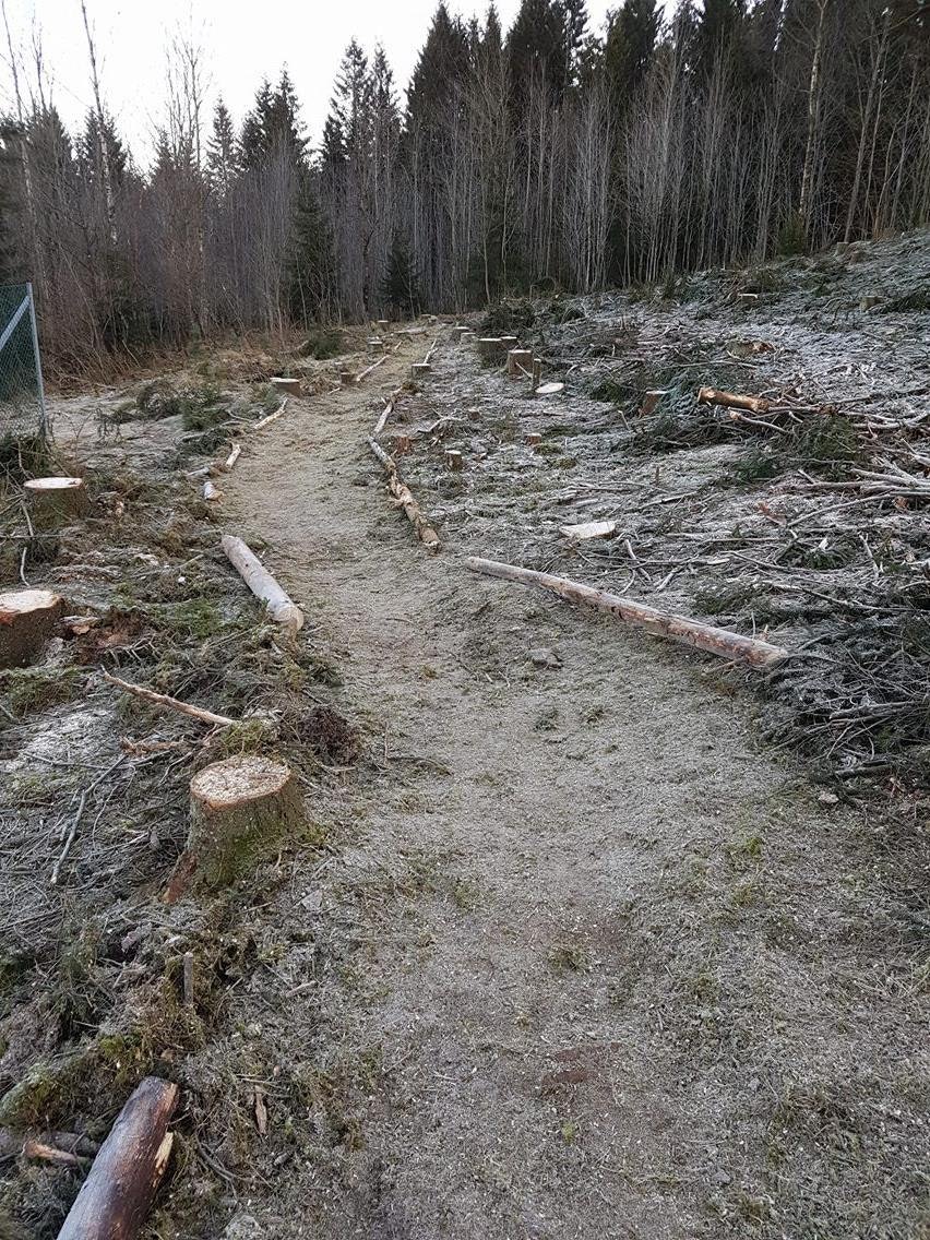 Flere av løypene til årets utgave av Telemark Enduro er bygget helt fra grunnen. Foto: Mats Nyegaard Telemark Enduro trail - Foto Mats Nyegaard