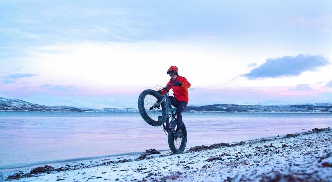 Moro i fjæra. Foto: Pål Jakobsen Steile Håkøya Pål Jakobsen 1200x657