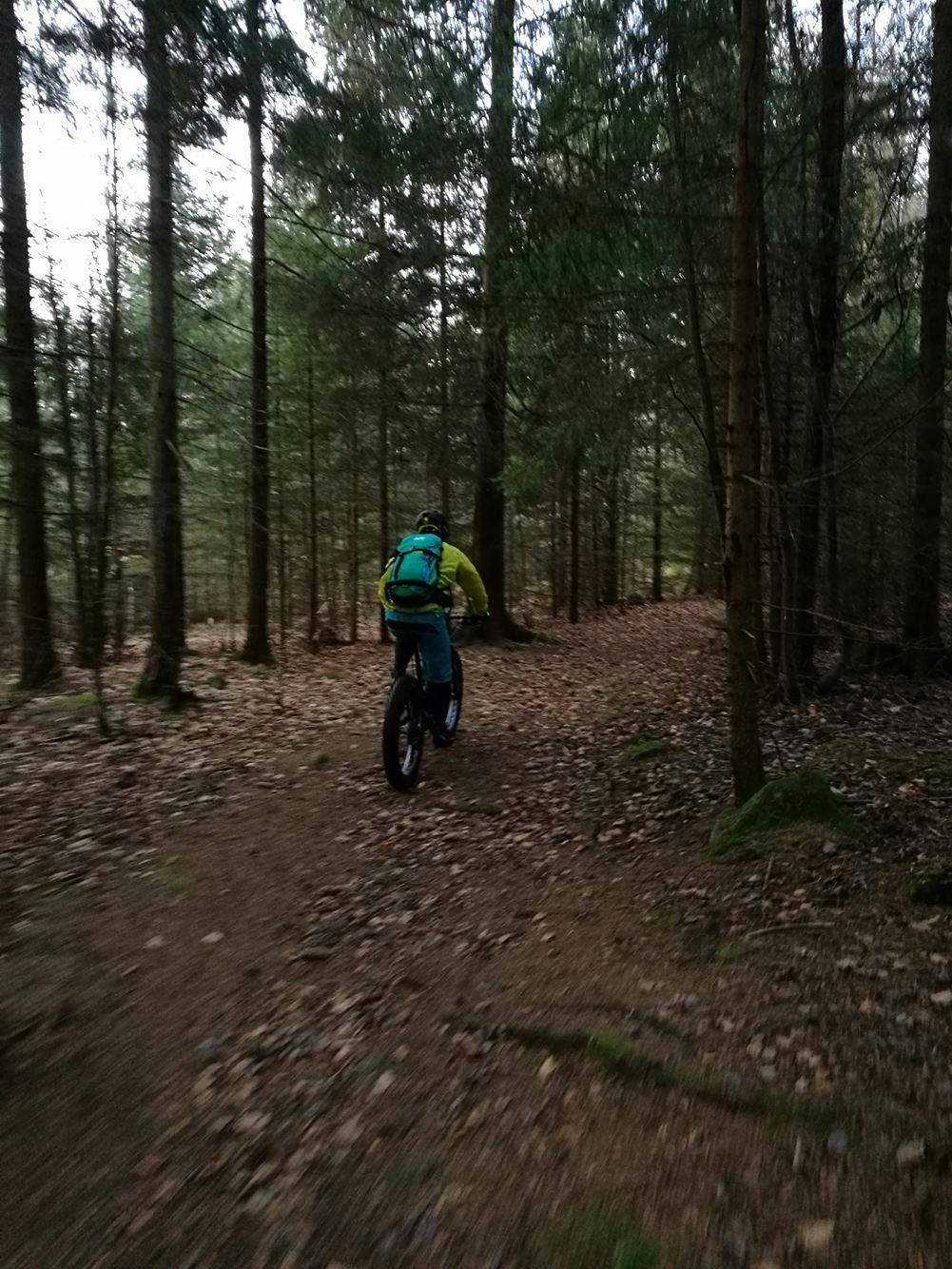 Nøtterøy Lars Seland Rønningen Flytsti - Lars Seland Rønningen