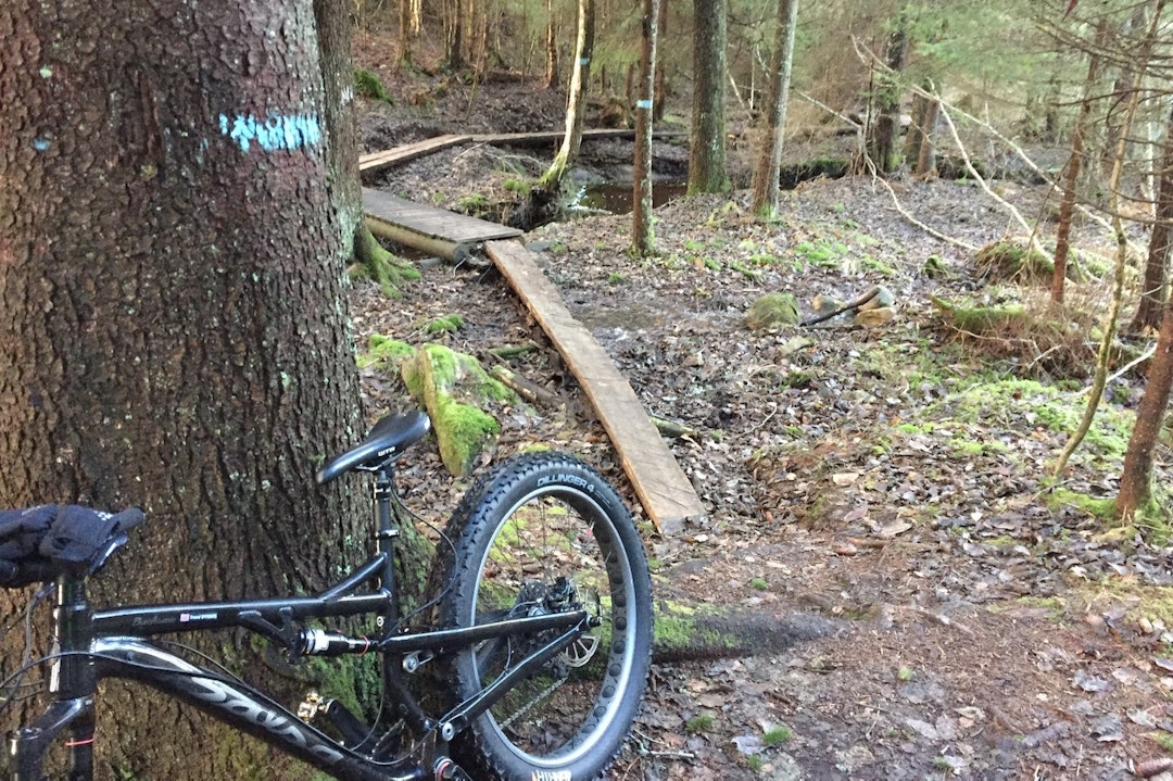 Nøtterøy - Trond Dyrnes Trails - Trond Dyrnes 1400x933