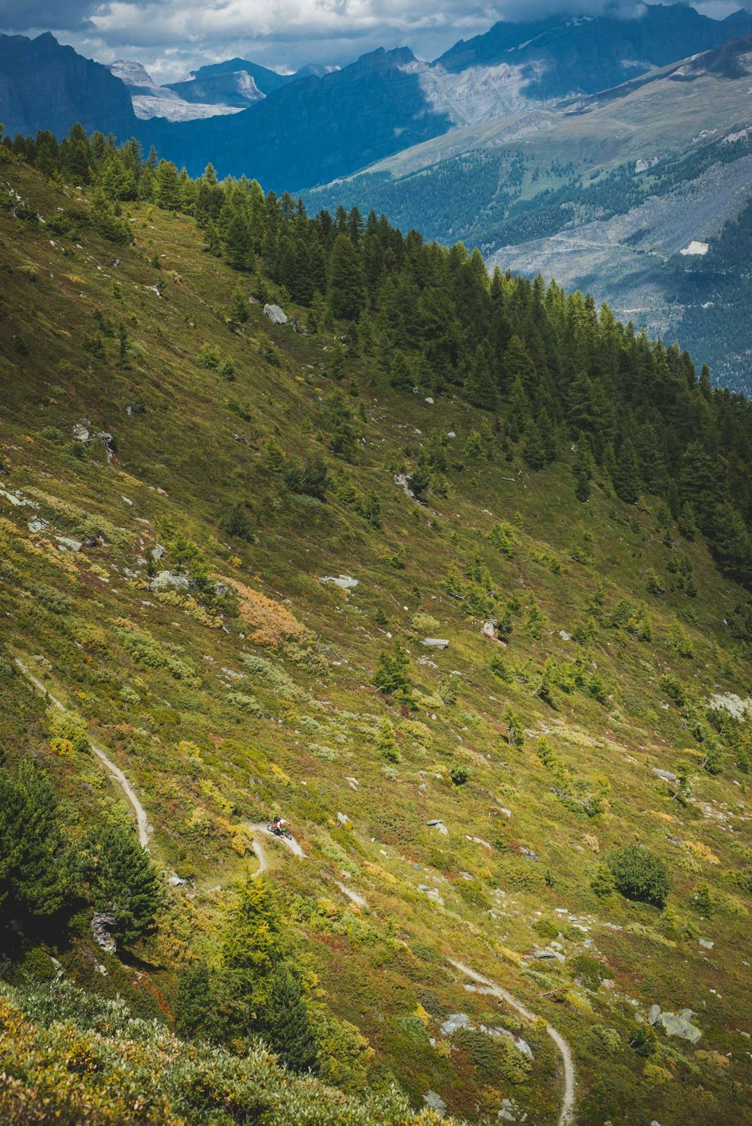 BERG- OG DALBANE: I ordets rette forstand, bare mye morsommere. Petter Andreas flyter nedover nesten totusen høydemeter mot dalbunnen. Sveits-Wallis-Stisykling-3