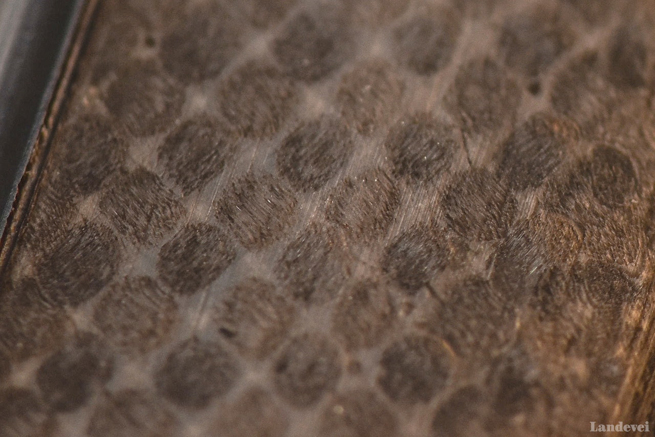 PRIKKEDØDEN: Hva er dette mon tro? Send inn ditt forslag og vinn fet styretape fra Lizard Skins! Foto: Henrik Alpers. PRIKKEDØDEN: Hva er dette mon tro? Send inn ditt forslag og vinn fet styretape fra Lizard Skins! Foto: Henrik Alpers.