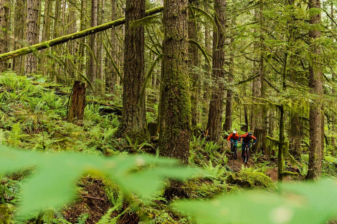 LOKAL POKAL: Til daglig jobber Fraser Newton i filmselskapet Ant Hill og som mekaniker. På fritiden sykler han, og det bedre enn de fleste. Her tar han siste svingen på stien Rupert en fuktig dag. Squamish-Canada-Sti-7