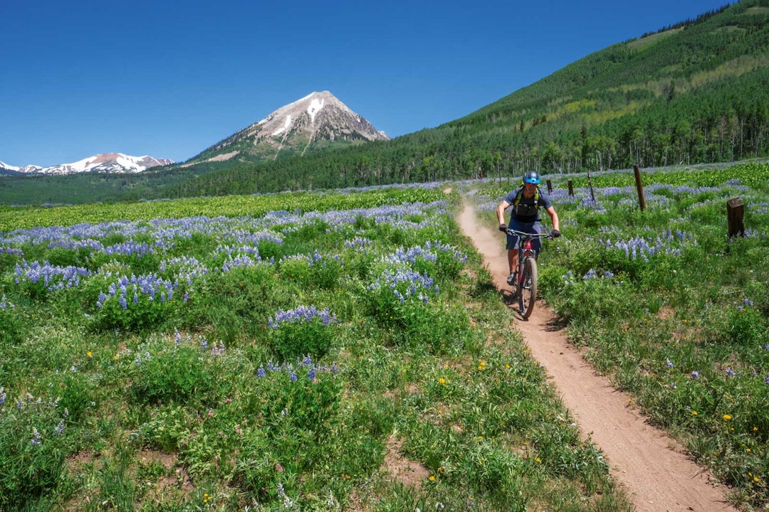 Blomsterpiken: Stiene i Crested Butte besto av alt fra teknisk høyfjellsykling til flytoramasykling Stisykling-i-USA-Roadtrip-7