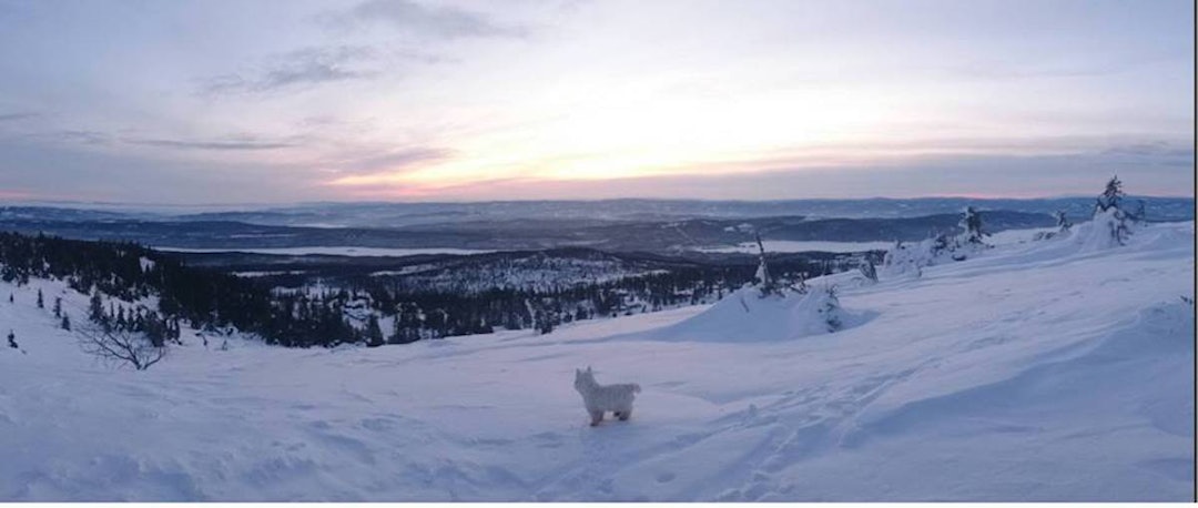 Vintermagi i Romeriksåsen. Foto: Ole Christian Fagerli Romerriksåsen foto OC Fagerli 1200x560