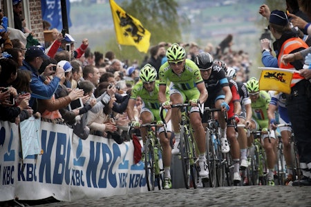 SPISSE ALBUER: Det er trangt om plassen når feltet skal klatre 21 bakker i Flandern på søndag. Gjør deg klar til årets største ritt! SPISSE ALBUER: Det er trangt om plassen når feltet skal klatre 21 bakker i Flandern på søndag. Gjør deg klar til årets største ritt!