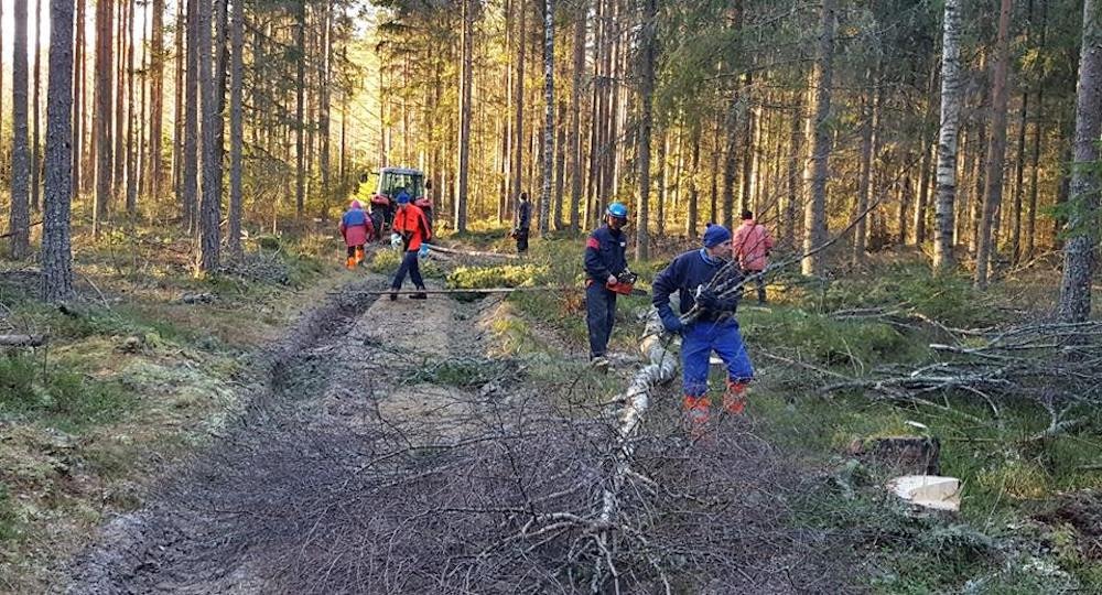Dugnadsgjengen i Stomperudrittet har nylig ferdigstilt sju kilometer ny løypetrasé. Foto: Per Hannaseth stomperud dugnad - Per Hannaseth 1000x
