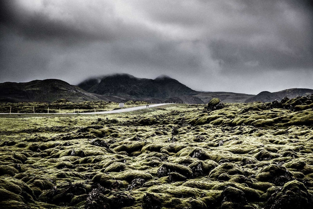 MOSETEPPE: Gigantiske, sylskarpe lavasteiner gir god grobunn for mose. Ved en kjapp stopp og litt eventyrlyst oppdaget vi at det kjentes som å løpe på marshmallows. MOSETEPPE: Gigantiske, sylskarpe lavasteiner gir god grobunn for mose. Ved en kjapp stopp og litt eventyrlyst oppdaget vi at det kjentes som å løpe på marshmallows.